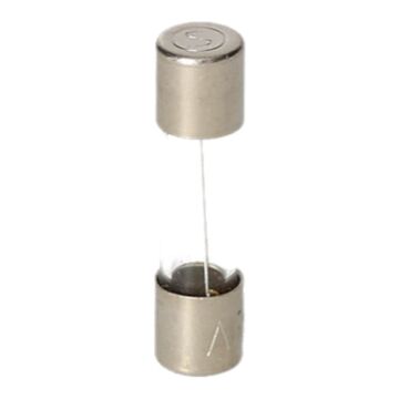 SCHMELZEINSATZ G 250V  D5X 20 D41662 T 1